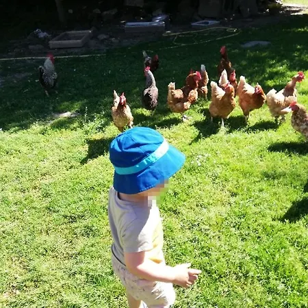Hébergement de vacances Ferme De Paufy Saint-Géry