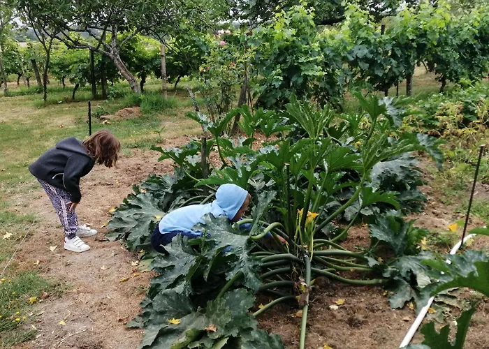 Ferme De Paufy Сasa de vacaciones